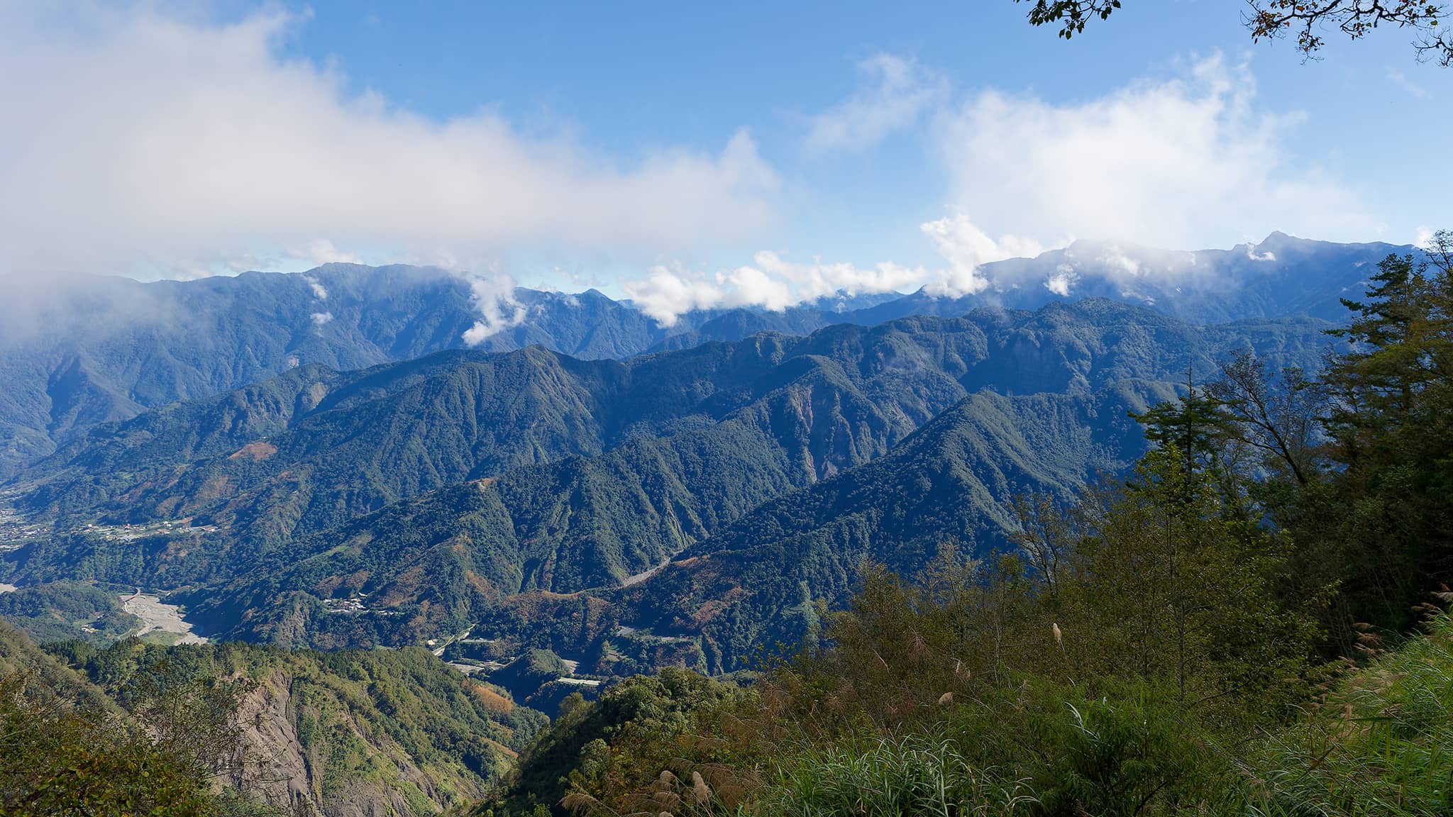 05 - Alishan (29).jpg